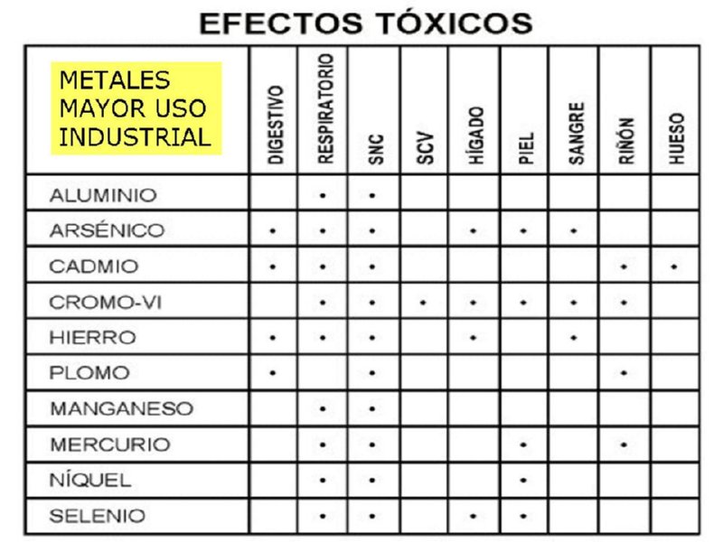 Diapositiva25