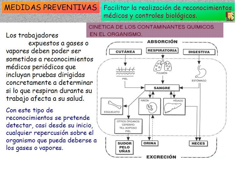 Diapositiva42