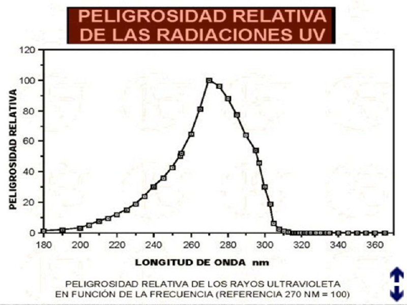 Diapositiva09