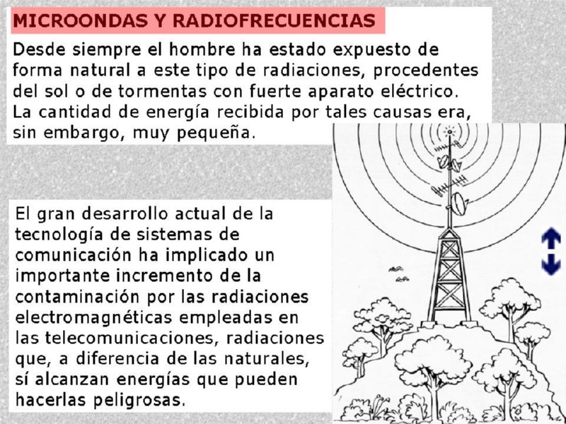 Diapositiva17