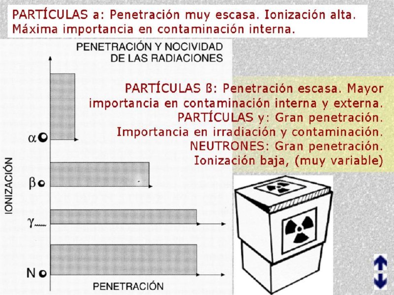 Diapositiva05