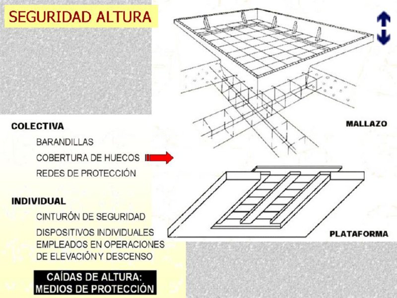 Diapositiva12