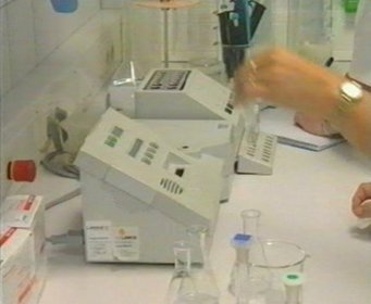 LABORATORIO  IMAGENES FOTOS