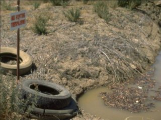 CONTAMINACION  RECICLAJE