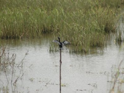 AGUA  CONTENEDOR