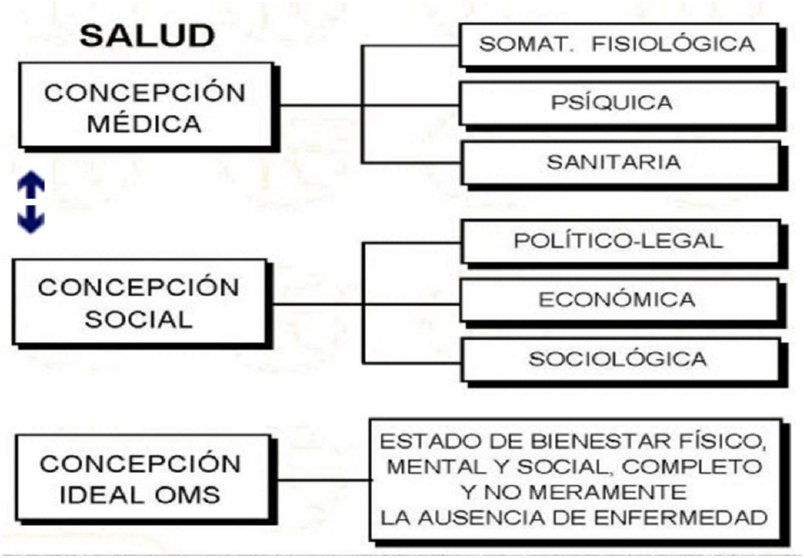 Diapositiva07a