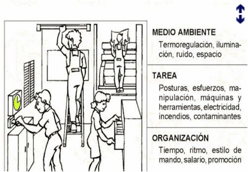 [PREVENCION RIESGOS LABORALES]