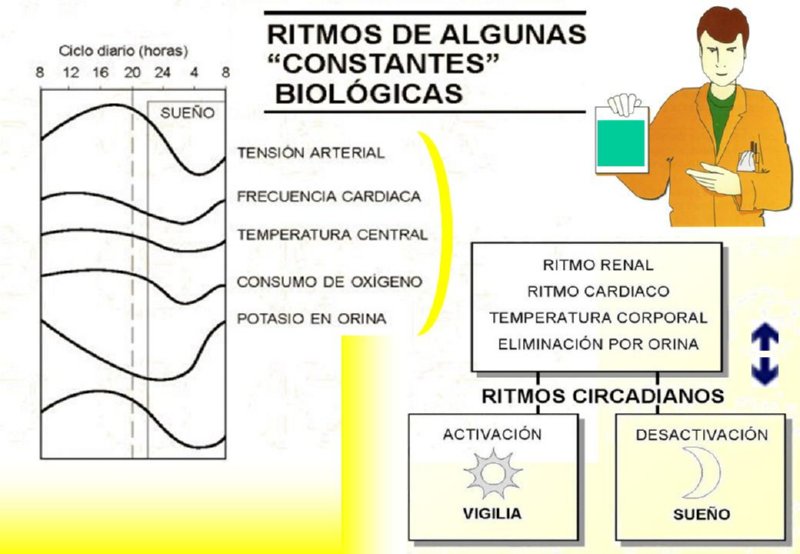 Diapositiva40