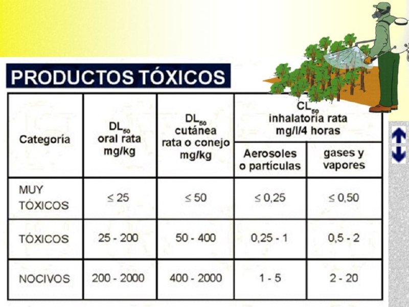 Diapositiva05