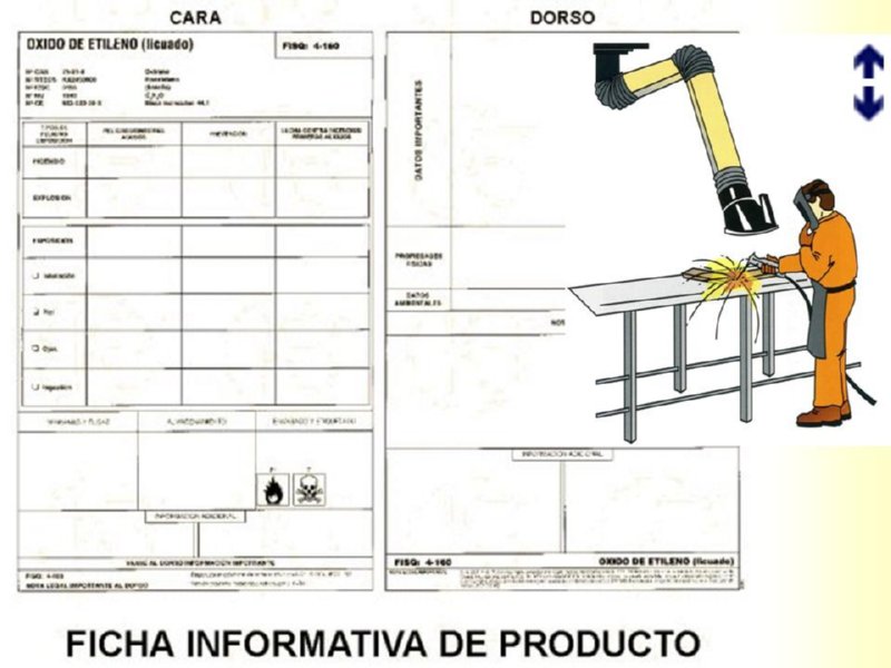 Diapositiva16