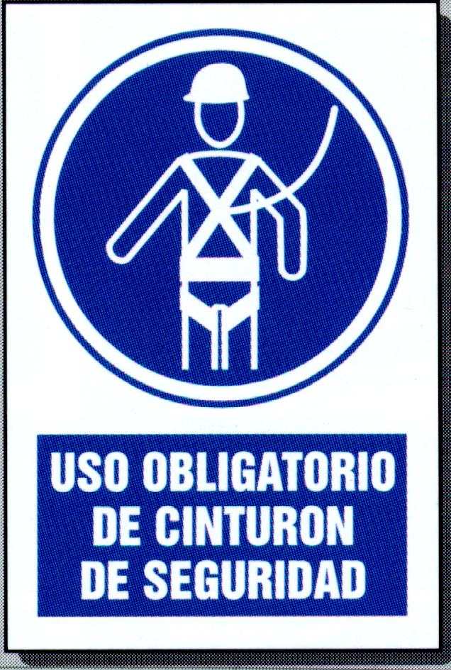 Uso oblig cint seg  IMAGENES FOTOS DIBUJOS