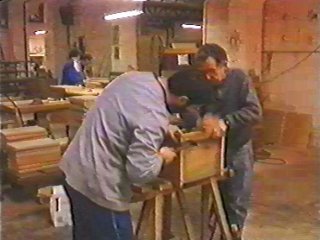 TRABAJADOR CARPINTEROS