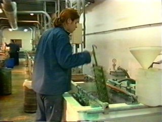 TRABAJADOR DESENGRASADO