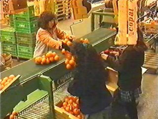 TRABAJADOR ENVASADORAS