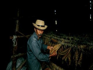 TRABAJADOR TABACO 01