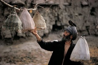 TRABAJADOR TRADICIONAL