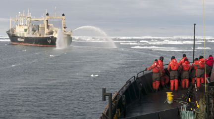 BARCOS  IMAGENES FOTOS