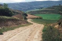 CAMINO RURAL  IMAGEN FOTOGRAFIA
