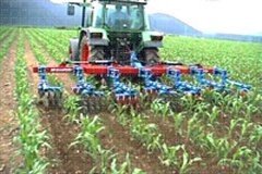 MAQUINARIA AGRICOLA (34)  IMAGEN FOTOGRAFIA