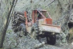 MAQUINARIA FORESTAL  IMAGEN FOTOGRAFIA