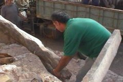 SEGURIDAD TRABAJO (130)  IMAGEN FOTOGRAFIA