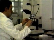 AGENTE BIOLOGICO  IMAGEN FOTOGRAFIA