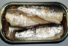LATA SARDINAS  IMAGEN FOTOGRAFIA