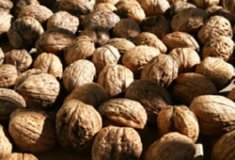 NUECES  IMAGEN FOTOGRAFIA
