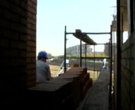 OBRAS (13)  IMAGEN FOTOGRAFIA
