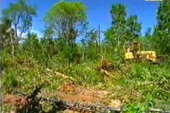 MAQUINARIA FORESTAL (2)  IMAGEN FOTOGRAFIA
