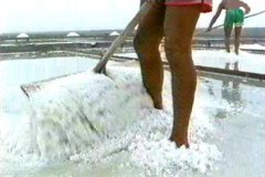 SALINAS  IMAGEN FOTOGRAFIA