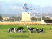 CAMPO  IMAGEN FOTOGRAFIA
