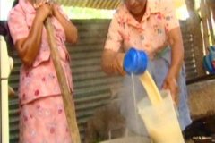 LECHE  IMAGEN FOTOGRAFIA