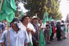 MANIFESTANTES  IMAGEN FOTOGRAFIA