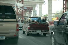 TRAFICO  IMAGEN FOTOGRAFIA