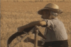 VIDEOS SWF GIF PREVENCION  CAMPO