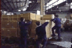 VIDEOS SWF GIF PREVENCION  CARGAS