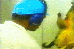 VIDEOS SWF GIF PREVENCION  CARNE