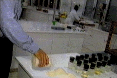 VIDEOS SWF GIF PREVENCION  GELATINA