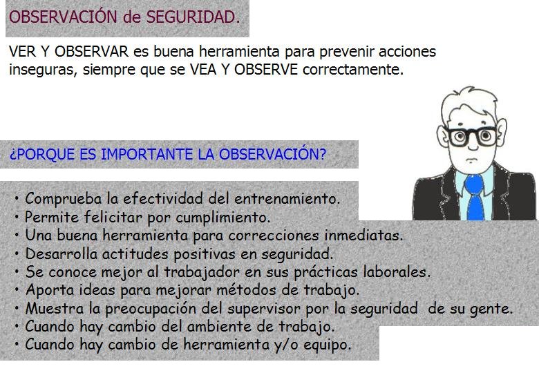 Diapositiva09