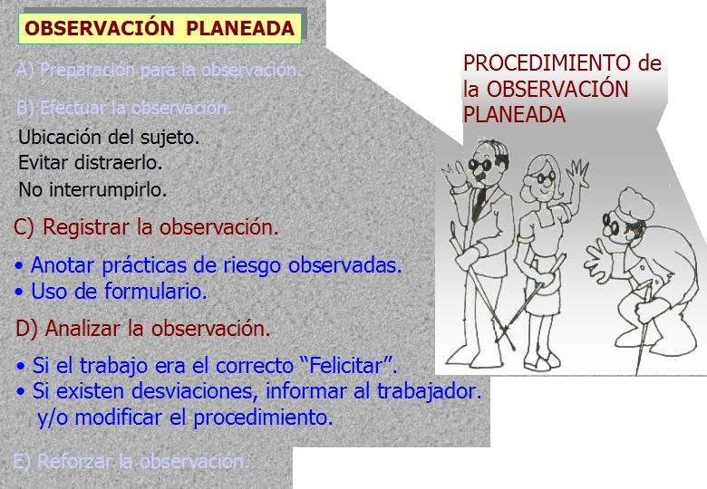 Diapositiva12