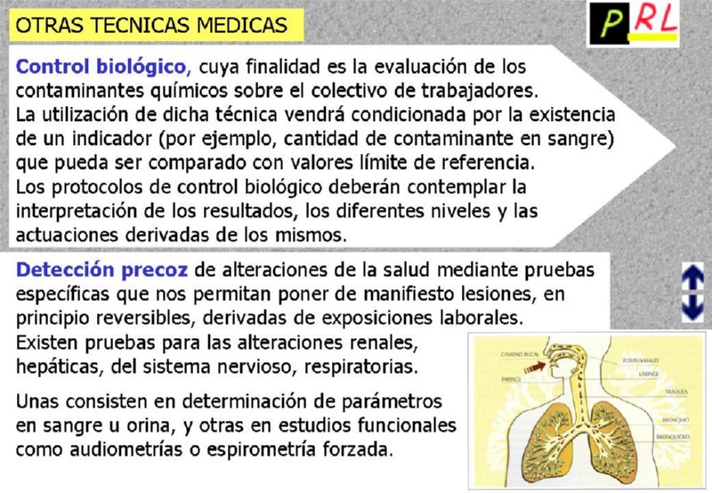 Diapositiva21