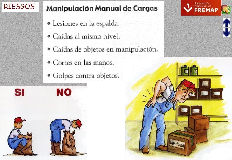 Diapositiva04