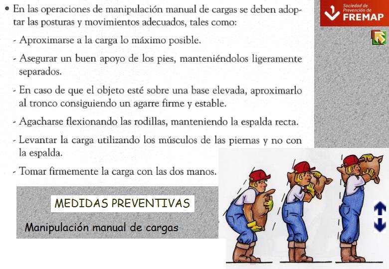Diapositiva06