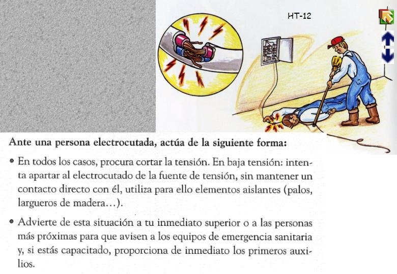 Diapositiva12