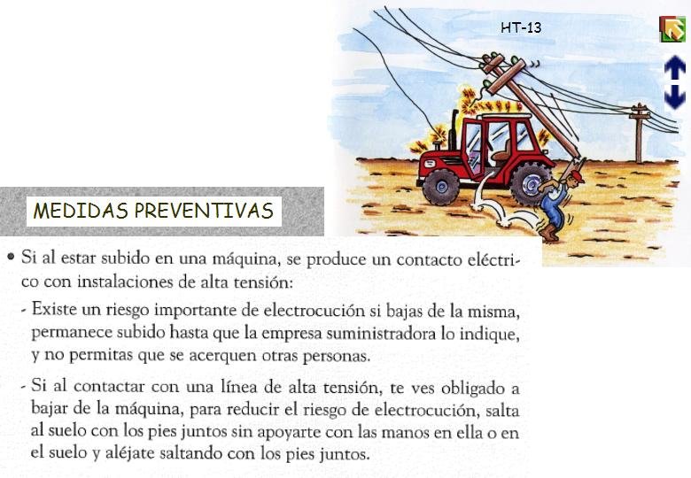 Diapositiva13
