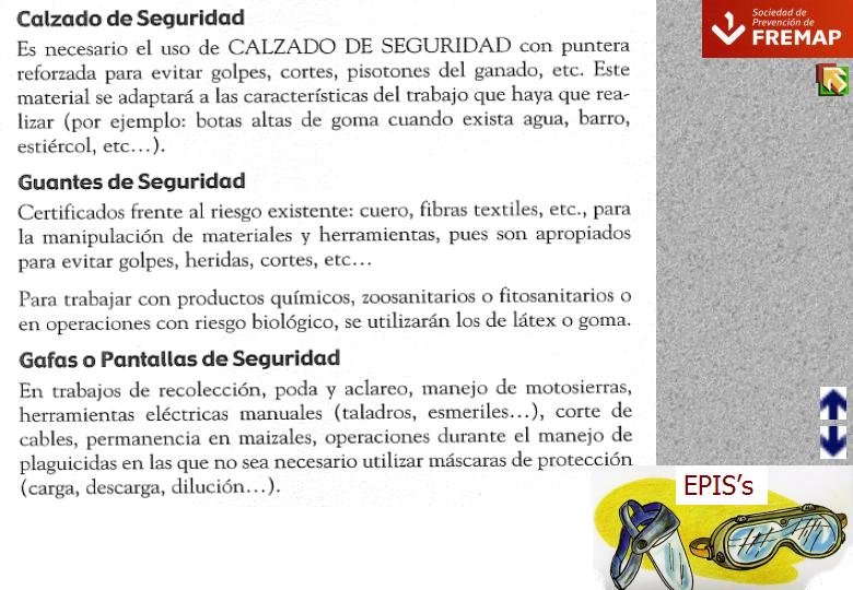Diapositiva14