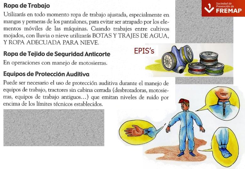 Diapositiva16