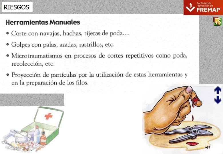 Diapositiva17