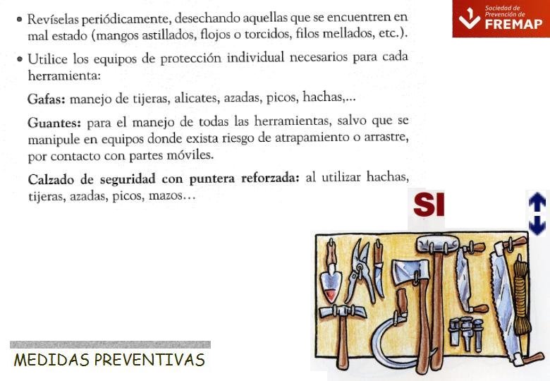 Diapositiva19